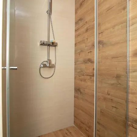 Apartment Vracar Vuk 1