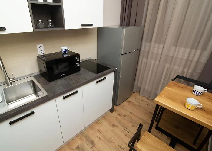 Vracar Vuk 1 * Belgrado